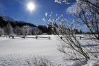 Controluce invernale 2 Controluce invernale 2