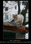 tensione di guardia tensione di guardia