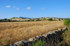 Campo di Grano