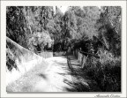 Antico Ponte Antico Ponte