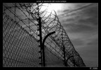 orrori e necessità del nostro tempo orrori e necessità del nostro tempo