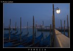 VENEZIA 2008