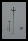 nella nebbia... nella nebbia...