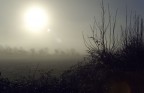 Alba Irlandese Alba Irlandese