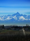 Moviso su cascine Moviso su cascine