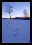 Di luce propria Di luce propria