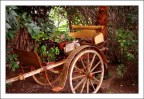 vecchia carrozza vecchia carrozza