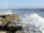 Mare Foce Verde Mare Foce Verde