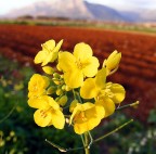 Critiche e commenti sempre accetti!!!!