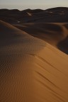 dune dune