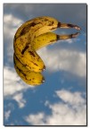 banane
