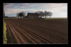 Controluce in campagna Controluce in campagna
