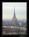 Cartolina da Torino Cartolina da Torino