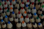 Colori Colori