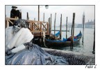 Carnevale di Venezia Carnevale di Venezia