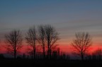 Sunset Trees Sunset Trees