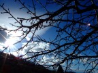 Controluce Controluce