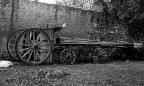 il carro il carro