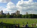 New York New York