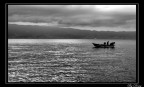 Pescatori Pescatori
