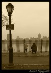 Central Park Central Park