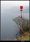Nessie fatti vedere... Nessie fatti vedere...