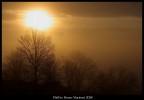 Nebbia al mattino