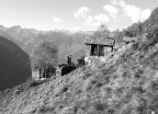 Abbandono