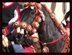 la sartiglia la sartiglia