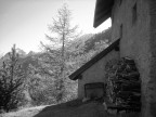 Scattata In ValleStretta, Bardonecchia. Con fotocamera compatta Nikon_5.1 MegaPixel.
Aspetto consigli e bastonate, sto muovendo i primi passi e sfrutto il forum per imaparare...quindi dateci senza piet�.
Vi chiedo anche un consiglio per orientarmi sull'acquisto di una macchina digitale (pensavo a una Reflex) adatta all'apprendimento, gi� di un buon livello. Grazie!!