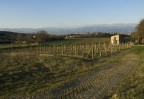 Campagna d'inverno