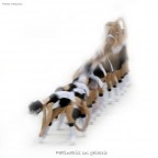 suggerimenti e critiche ben accette