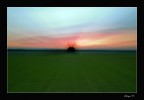 Effetti al tramonto Effetti al tramonto