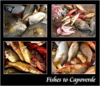 Ri-pescado Ri-pescado