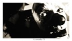 la smorfia: 75