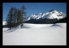 Zuoz-Zernez Zuoz-Zernez