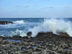 La Forza del Mare La Forza del Mare