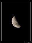 The MooN The MooN