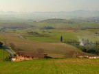 Paesaggio toscano con bruma 2 Paesaggio toscano con bruma 2