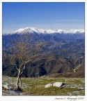 L'ultima neve L'ultima neve