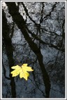 Nei rigagnoli ...d'autunno Nei rigagnoli ...d'autunno