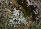 ice fantasy