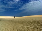 tuareg tuareg