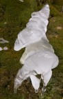 ice sculpture