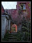 Aspetti di vita rurale Aspetti di vita rurale