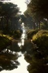 Canale nel Parco dell'Uccellina Canale nel Parco dell'Uccellina