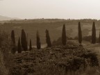 Maremma Maremma