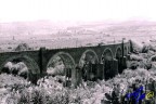 Sicily Bridge Sicily Bridge