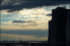 NY NY