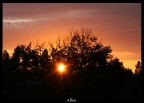 Alba Alba
